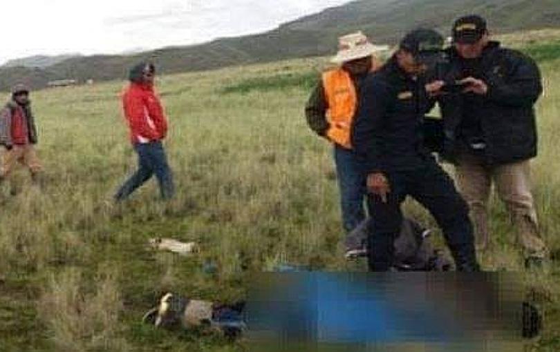  Menor de 12 años ayudaba a sus padres con las labores de pastoreo cuando fue alcanzada por rayo en Cusco