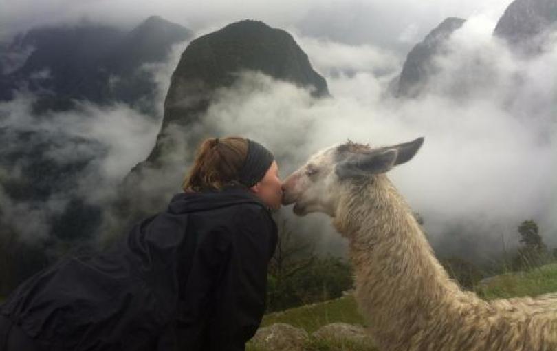 LLama Pack es un emprendimiento que busca la participación de los comuneros del Valle Sagrado