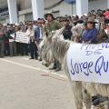 Pasean burro con el nombre de alcalde a fin de pedir su destitución